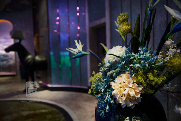 室内装饰山石的类型设置